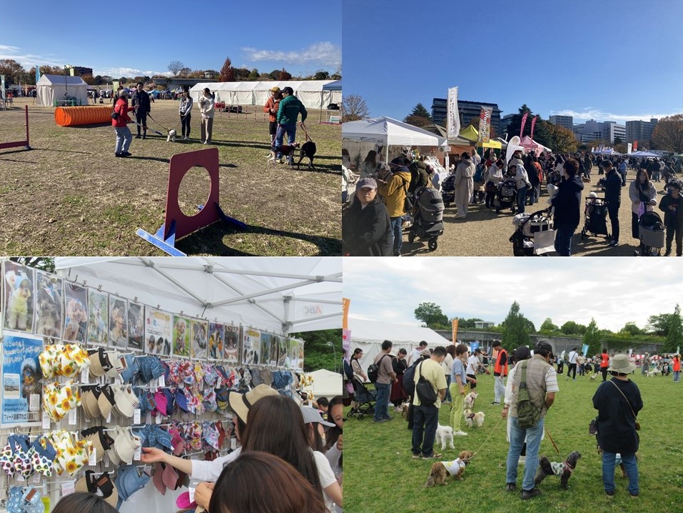 イチオシのイベント：初開催！Sippo Festa（しっぽフェスタ） in 国営ひたち海浜公園