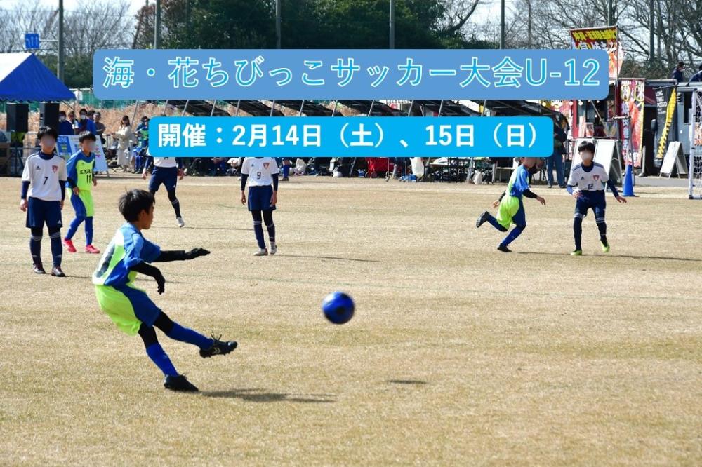 イチオシのイベント：海・花ちびっこサッカーUー12大会のご案内