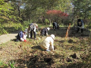 記念の森活動例2