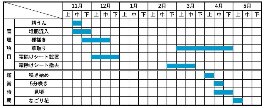ネモフィラ管理スケジュール・観賞時期