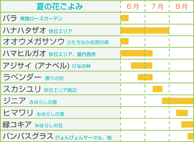夏のフラワーカレンダー2025