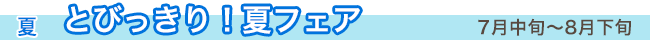 夏 とびっきり夏フェア 7月中旬から8月下旬