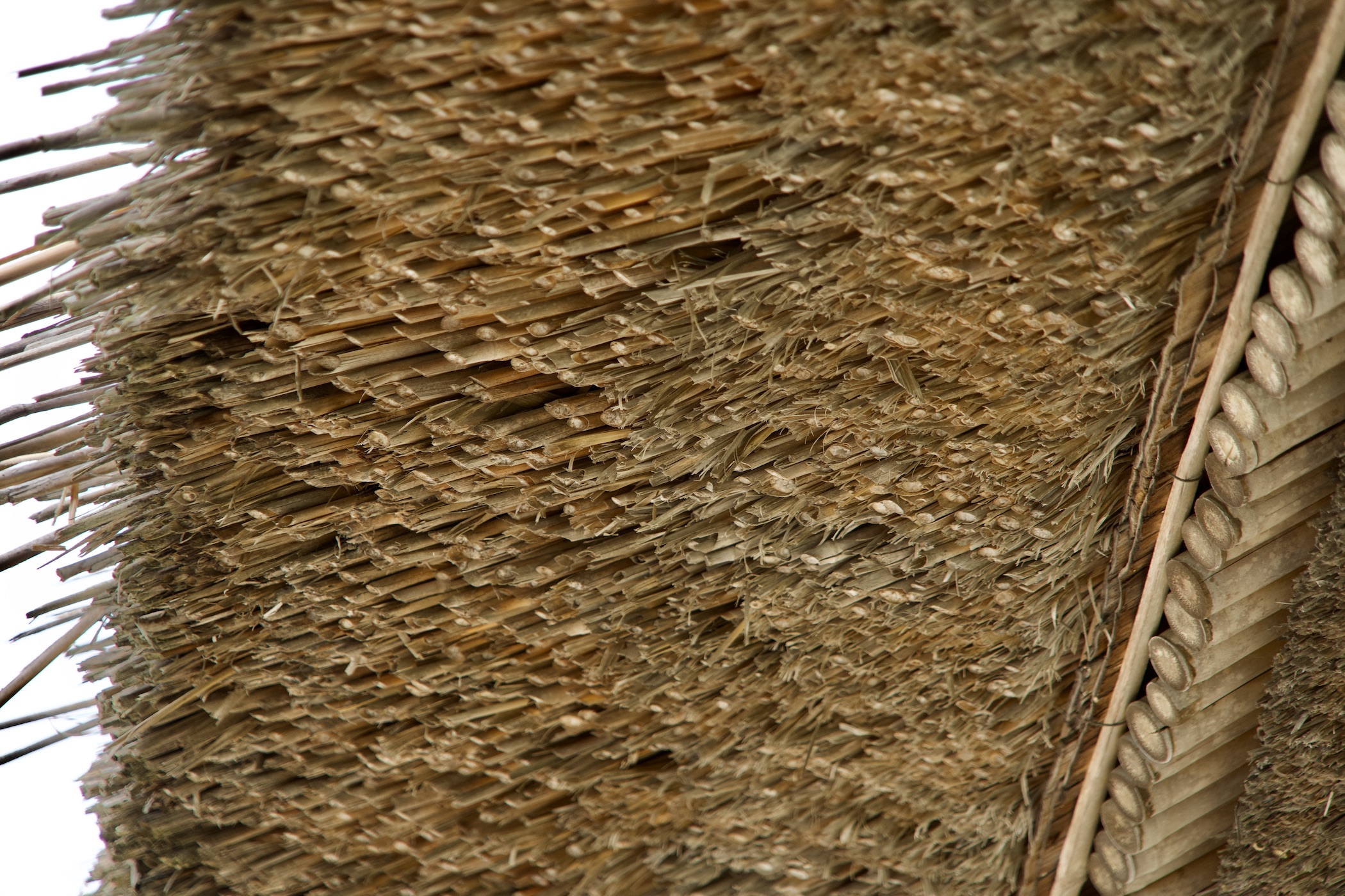 母屋の段葺き03