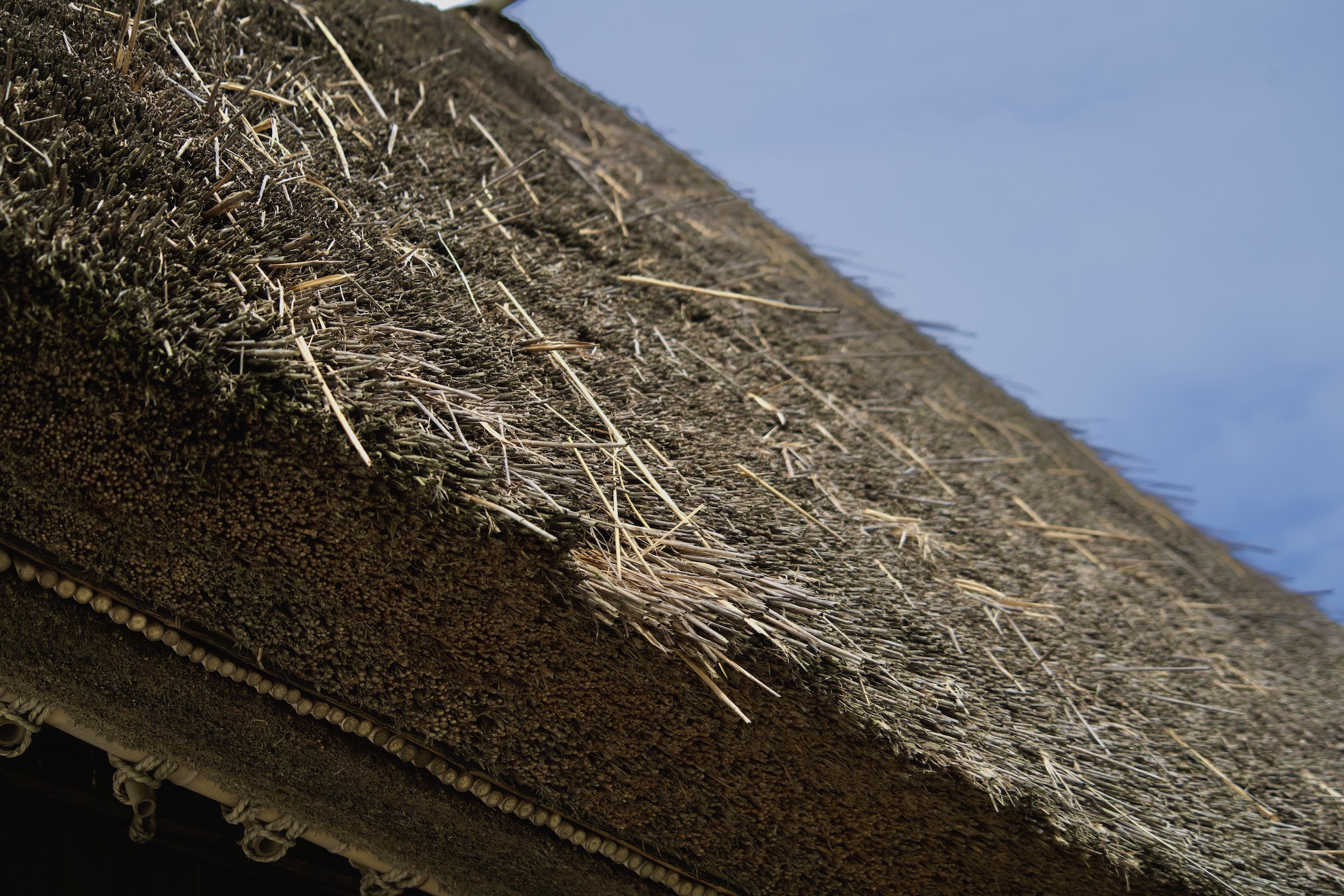 母屋の段葺き02