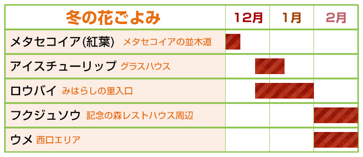 冬のフラワーカレンダー2025