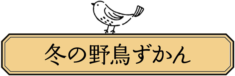 冬の野鳥ずかんタイトル