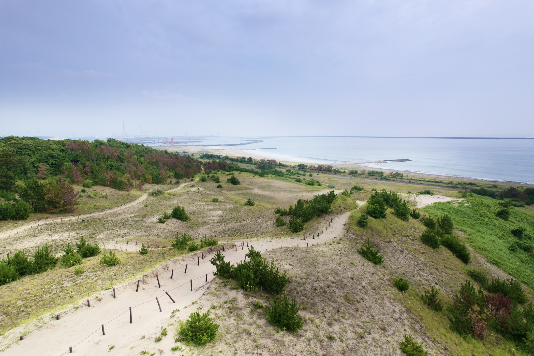 砂丘エリアの空撮