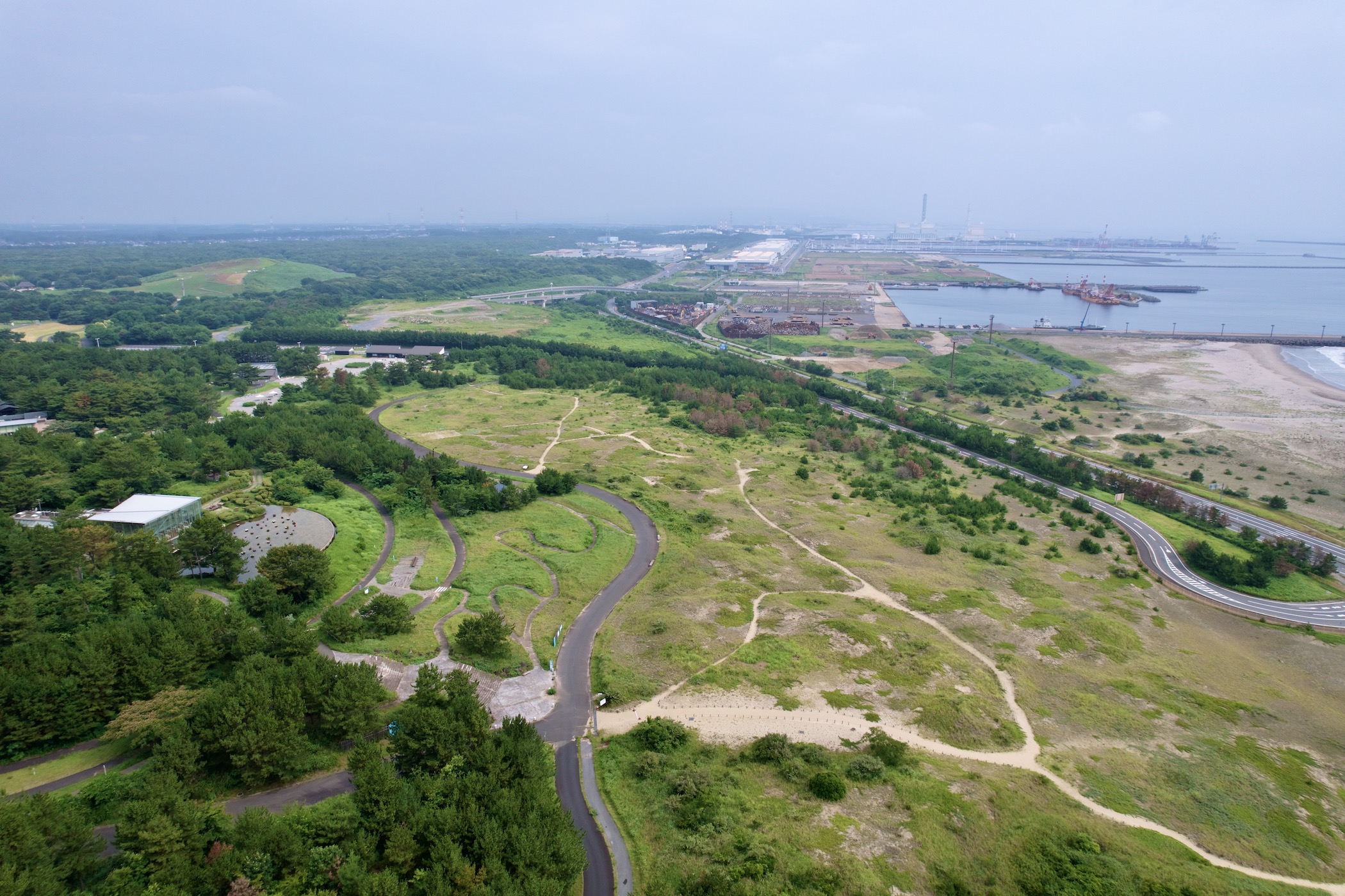 ひたちの自然・砂丘エリア02