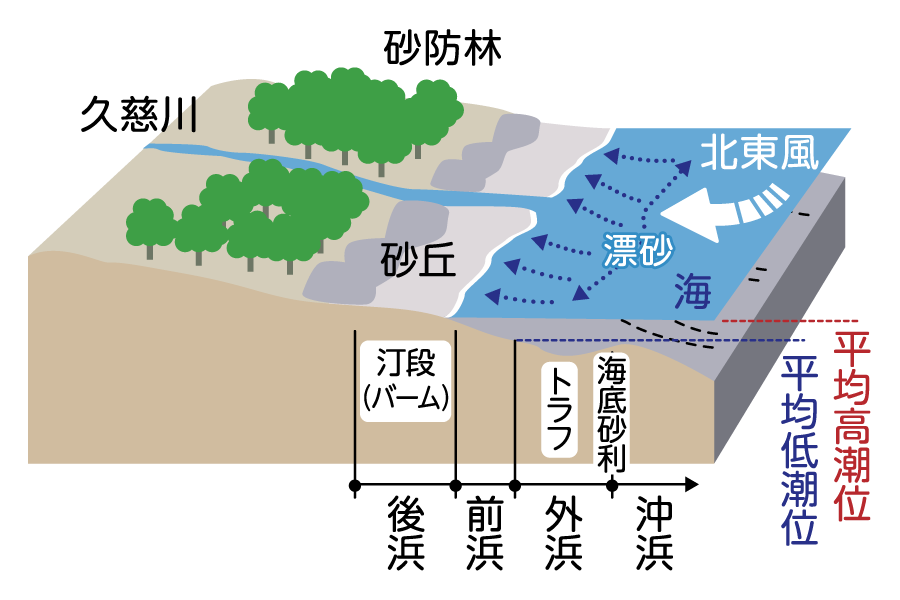 ひたちの自然・砂丘エリア説明