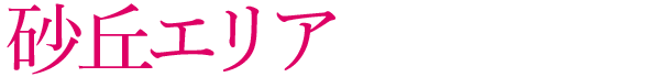 砂丘エリアタイトル
