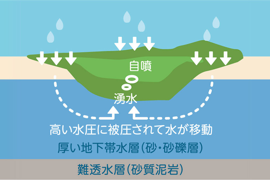 沢田遊水地の詳細