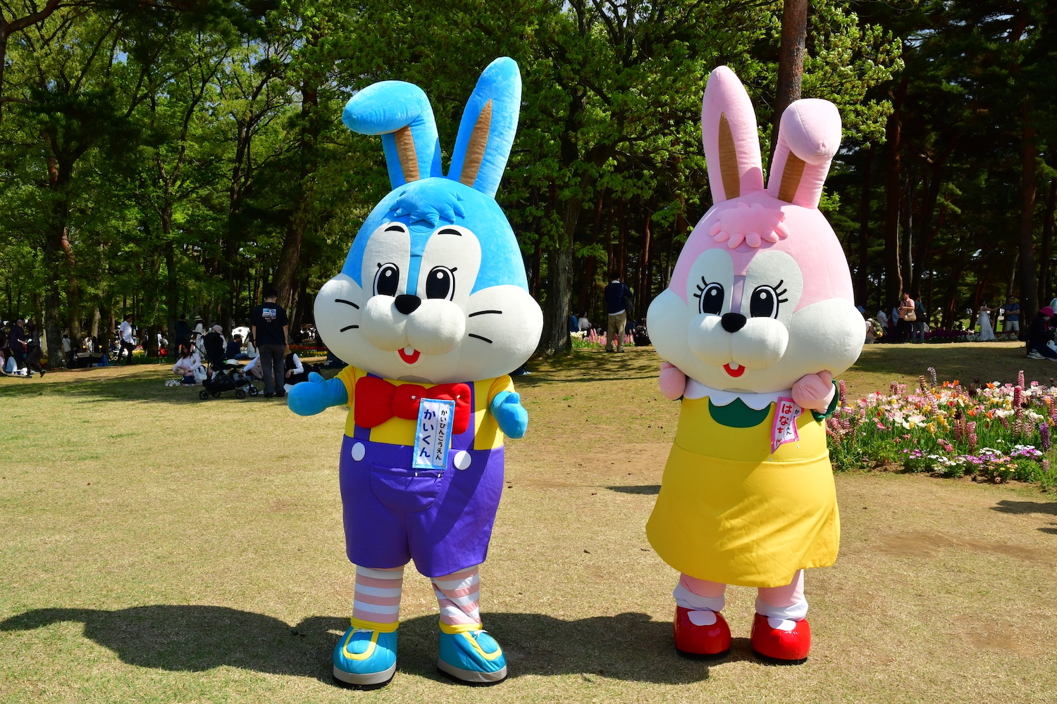海くん・花ちゃんの着ぐるみ