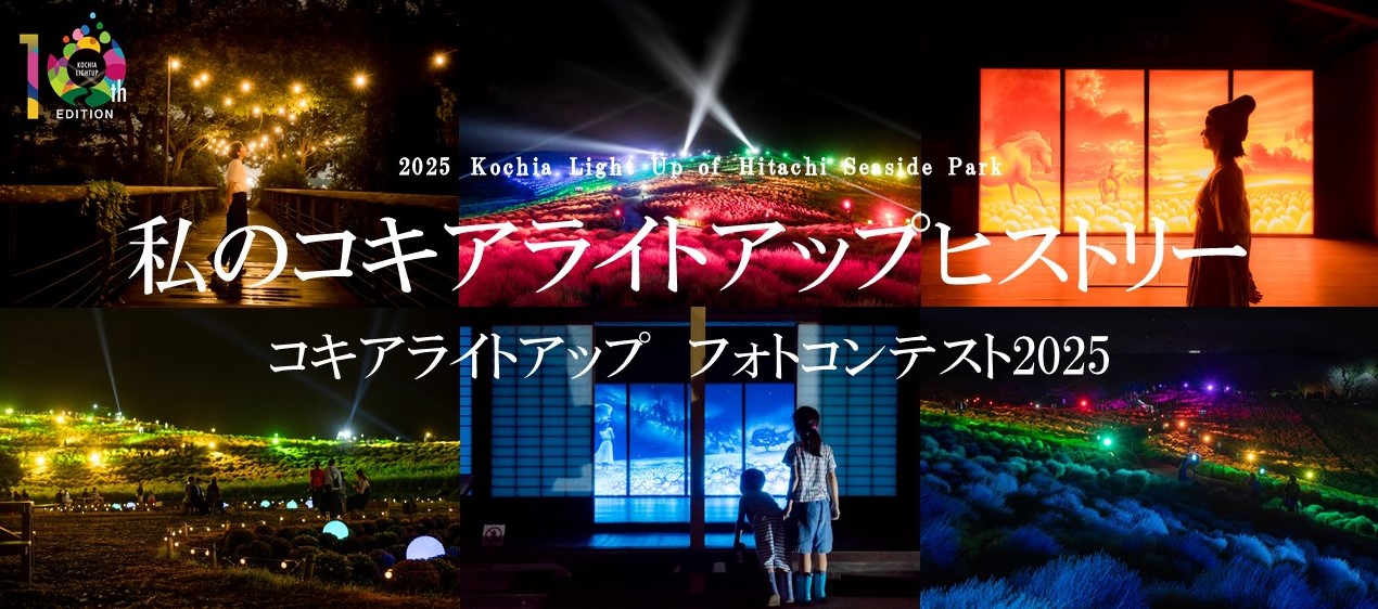 私のコキアライトアップヒストリー