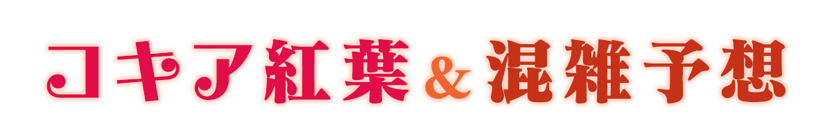 コキア紅葉＆混雑予想バナー
