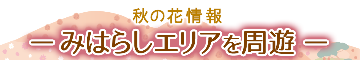 みはらしエリアを周遊バナー