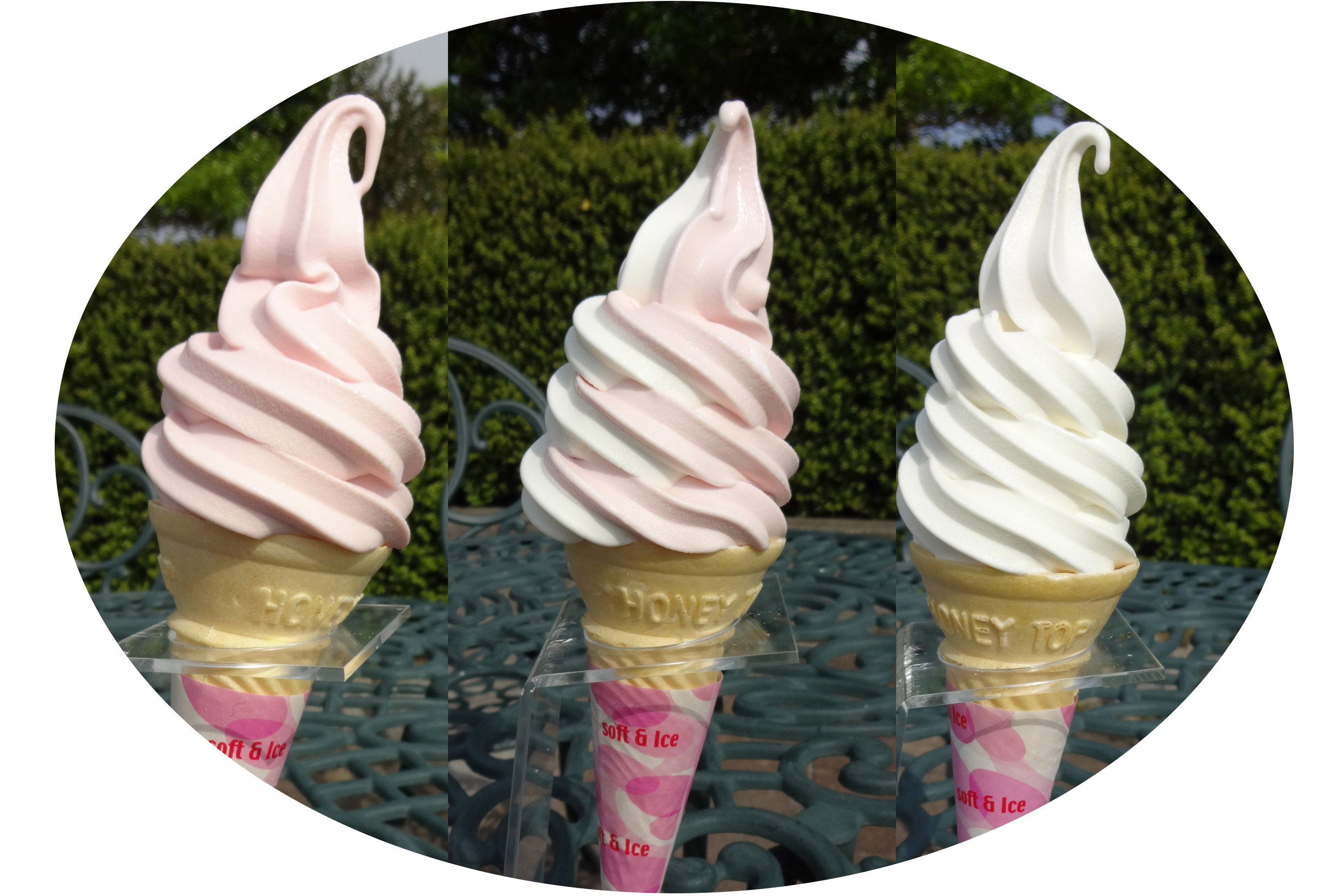 2014年から2017年 コキアの丘ソフトクリーム