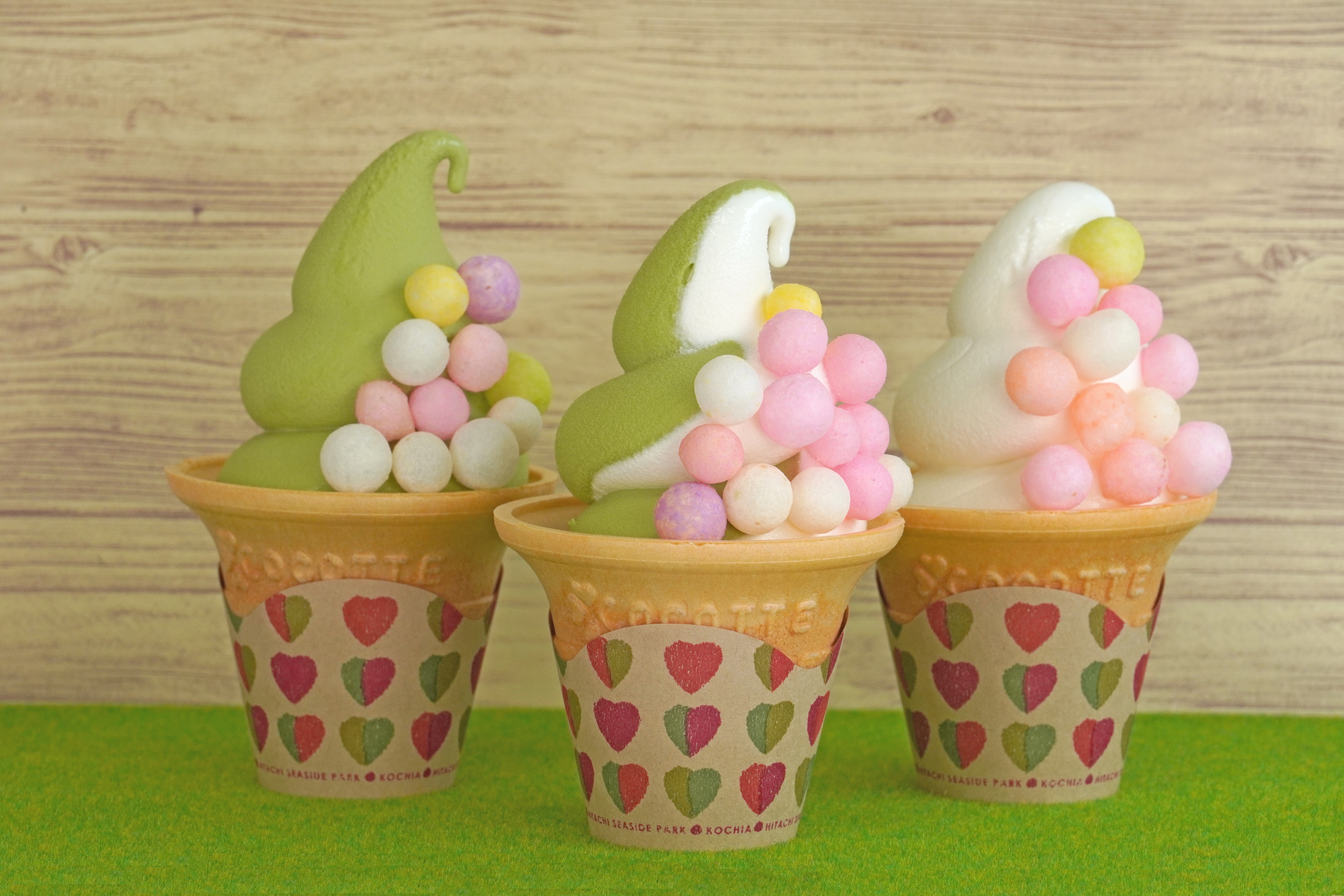 2023年まるころグリーンコキアソフト