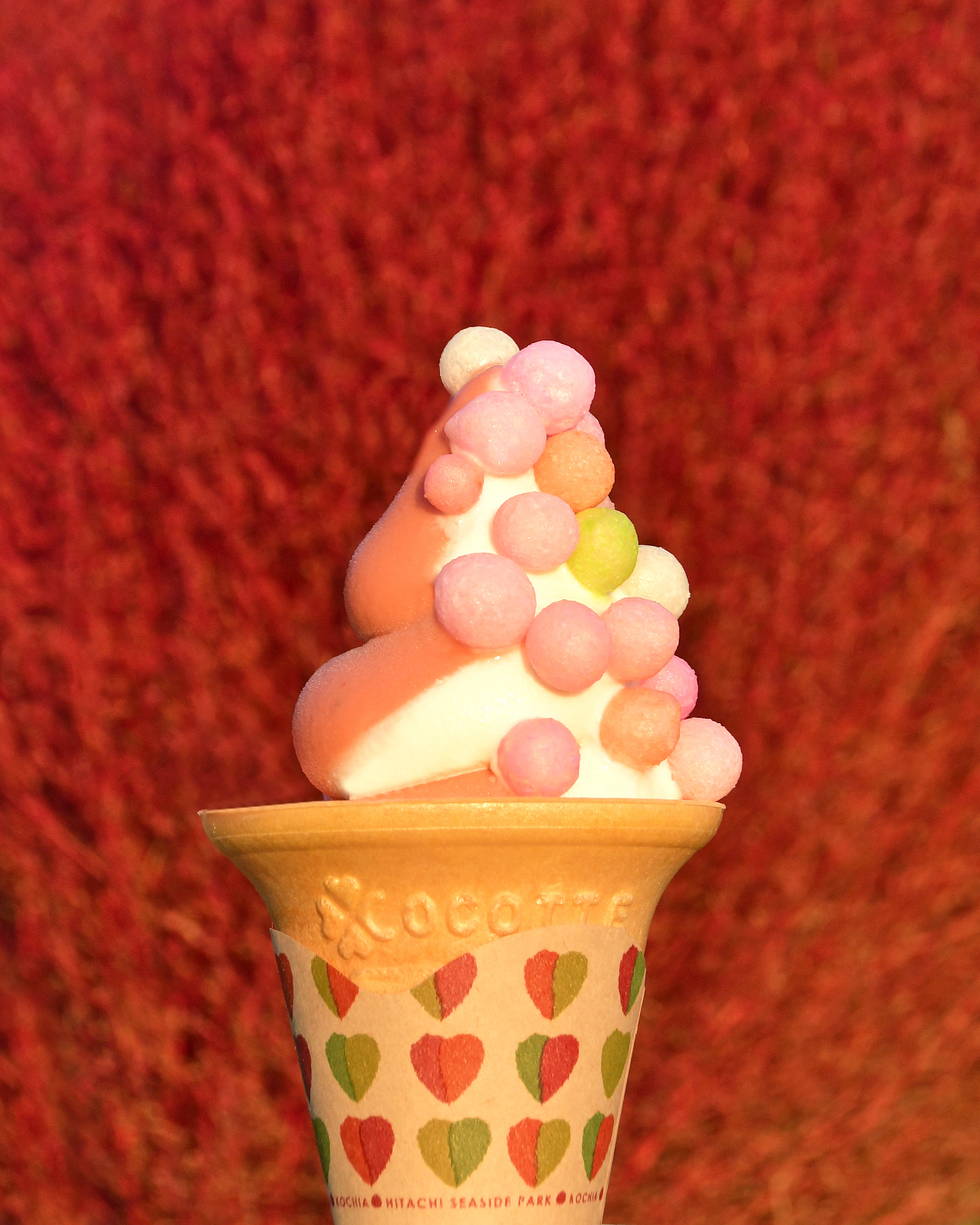 映え写真 光は自然光でやさしく