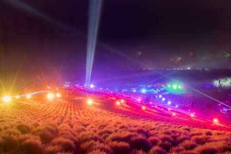 コキアライトアップイメージ写真3