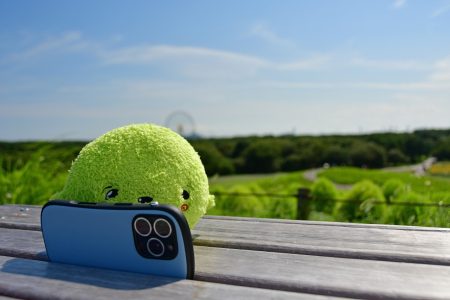 写真を撮るふわりん