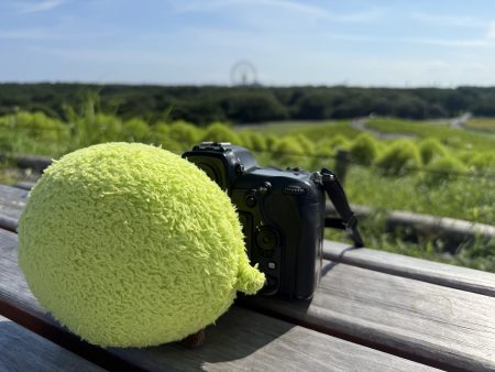 一眼レフカメラで写真を撮るふわりん