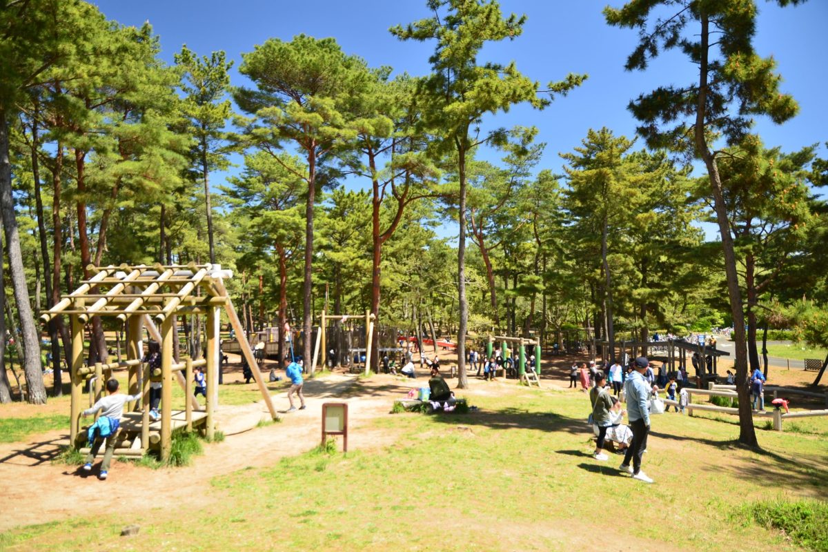 アスレチック広場