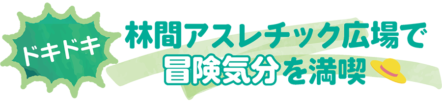 ドキドキ 林間アスレチック広場で冒険気分を満喫