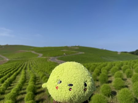 みはらしの丘のふわりん