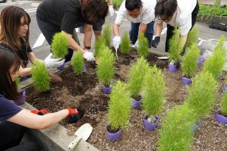 スターバックスひたちなか店 コキア植栽体験02