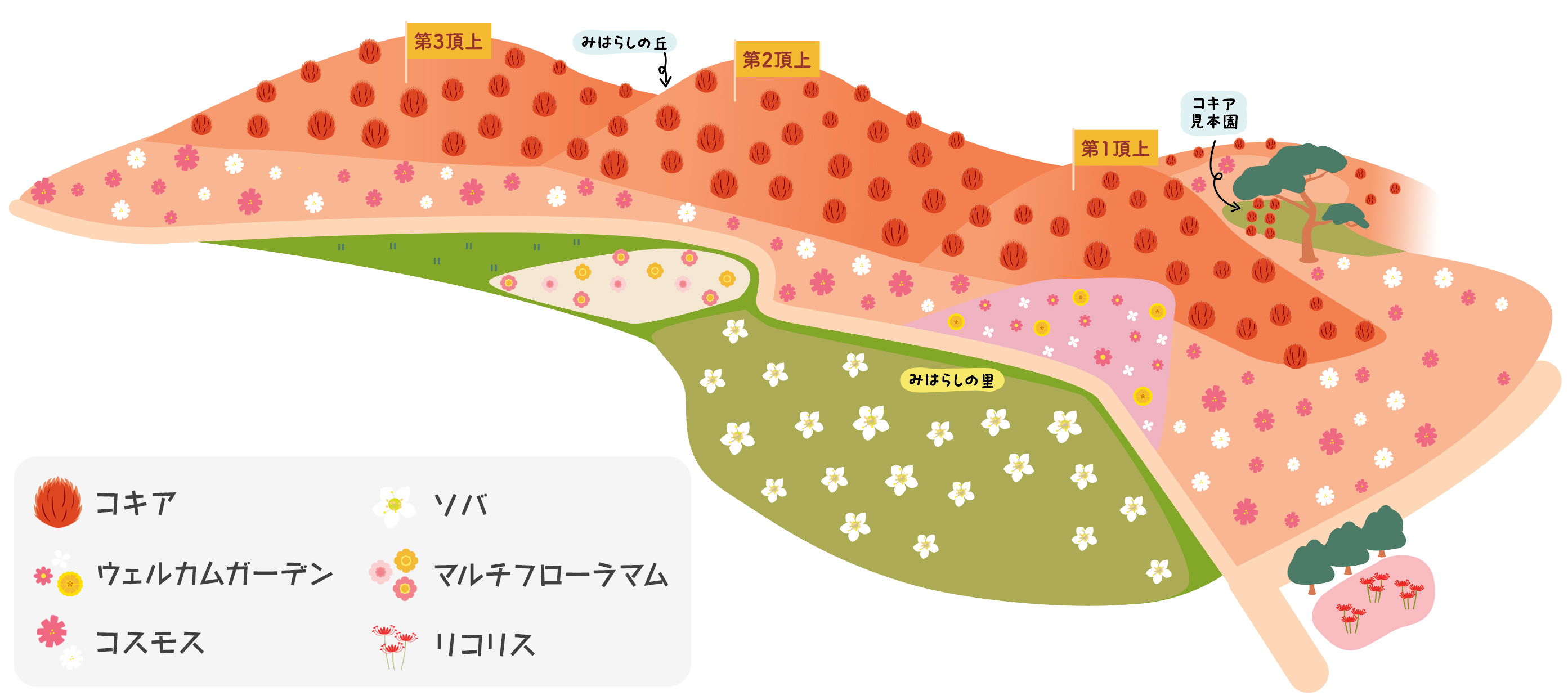 秋の花情報 みはらしエリアを周遊マップ
