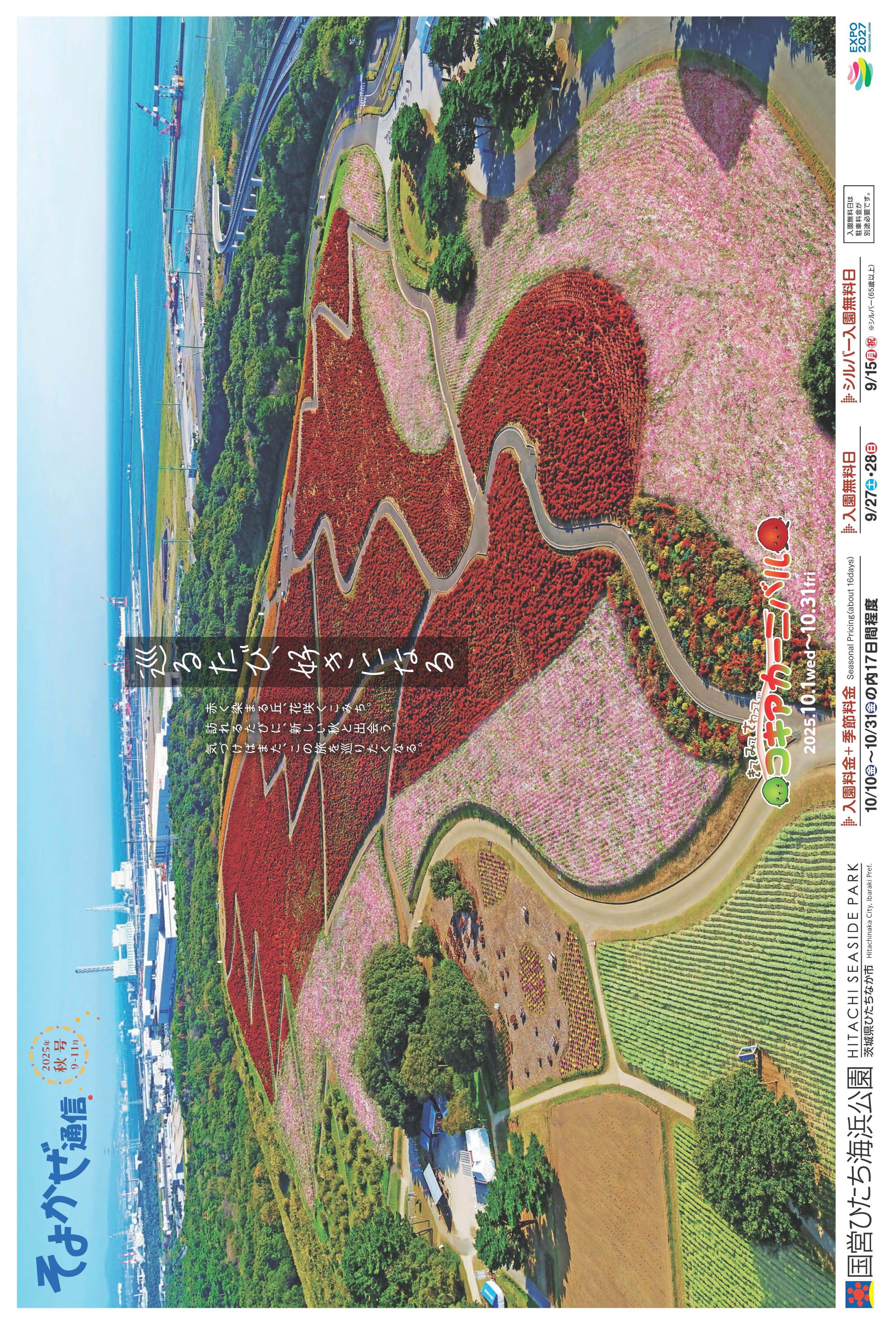 そよかぜ通信秋号