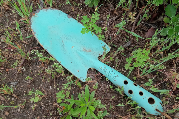 持込禁止_0024_動植物採集道具