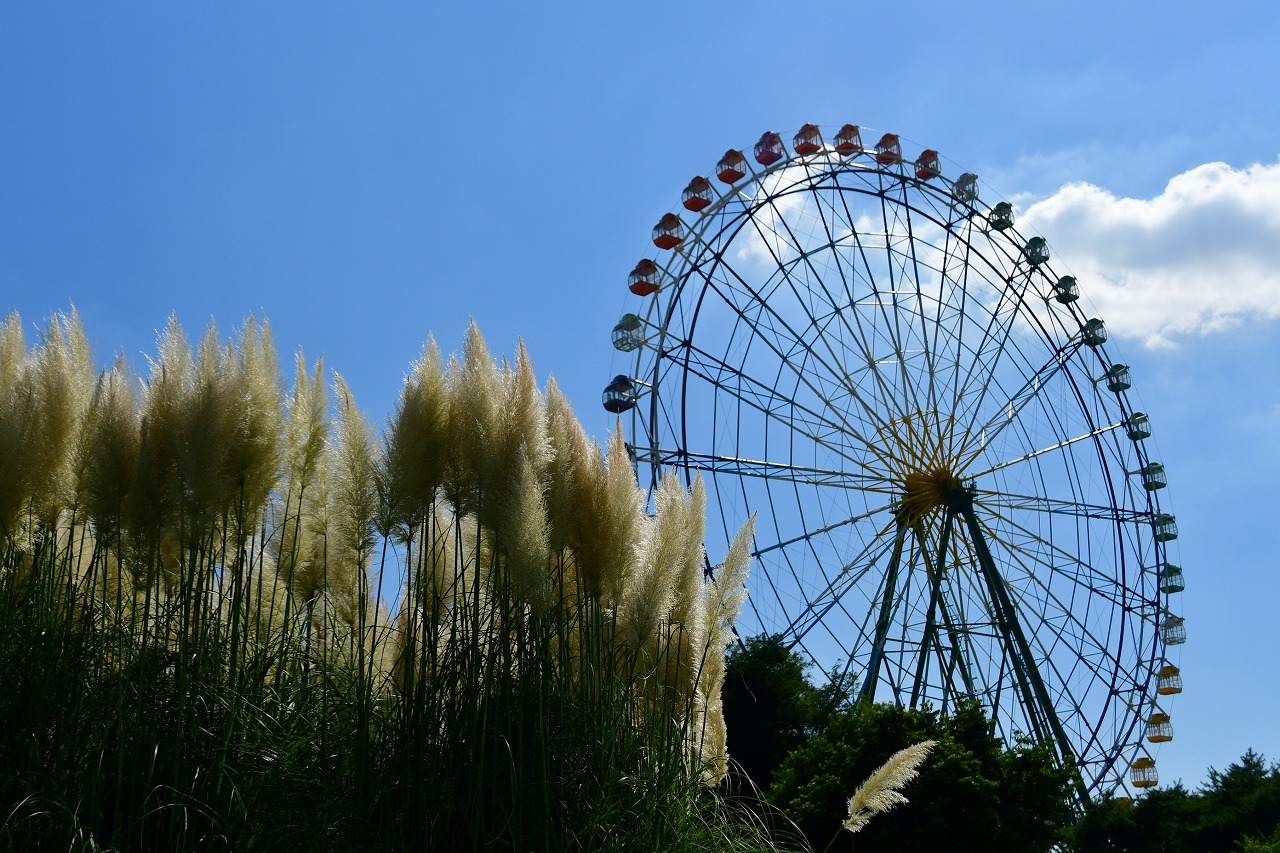 s-DSC_1841