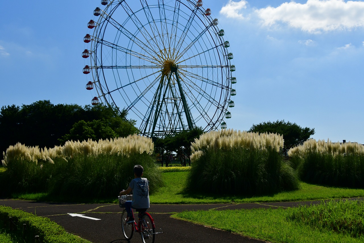 s-DSC_1837