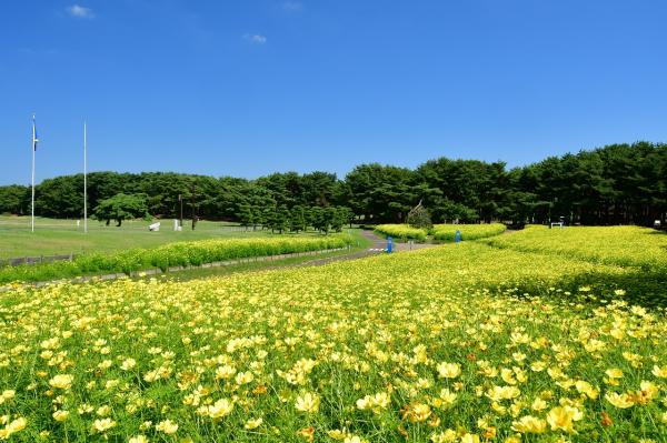 s-DSC_1735