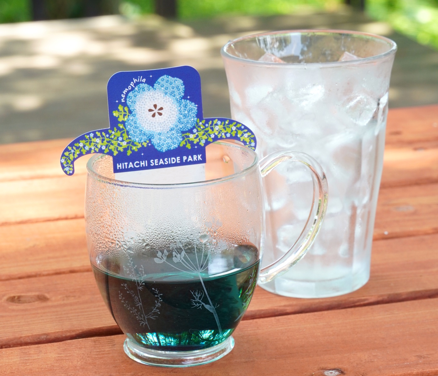 ネモフィラブルーティー アイス