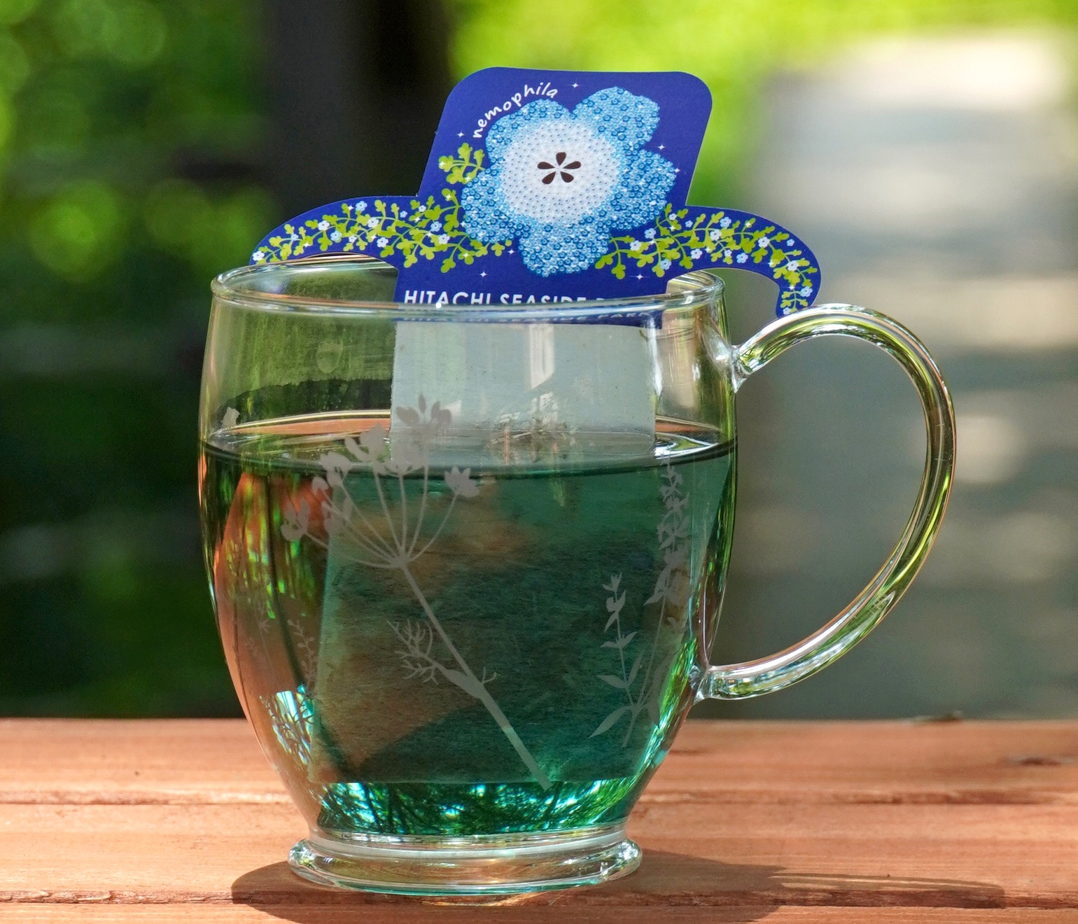 ネモフィラブルーティー ホット