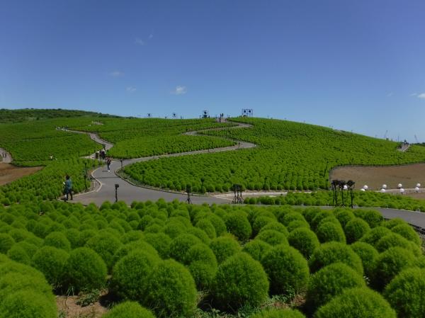 DSCF7508