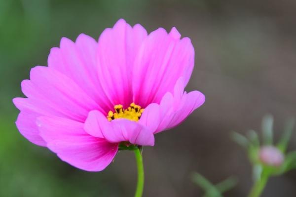 s-DSC_3799_k