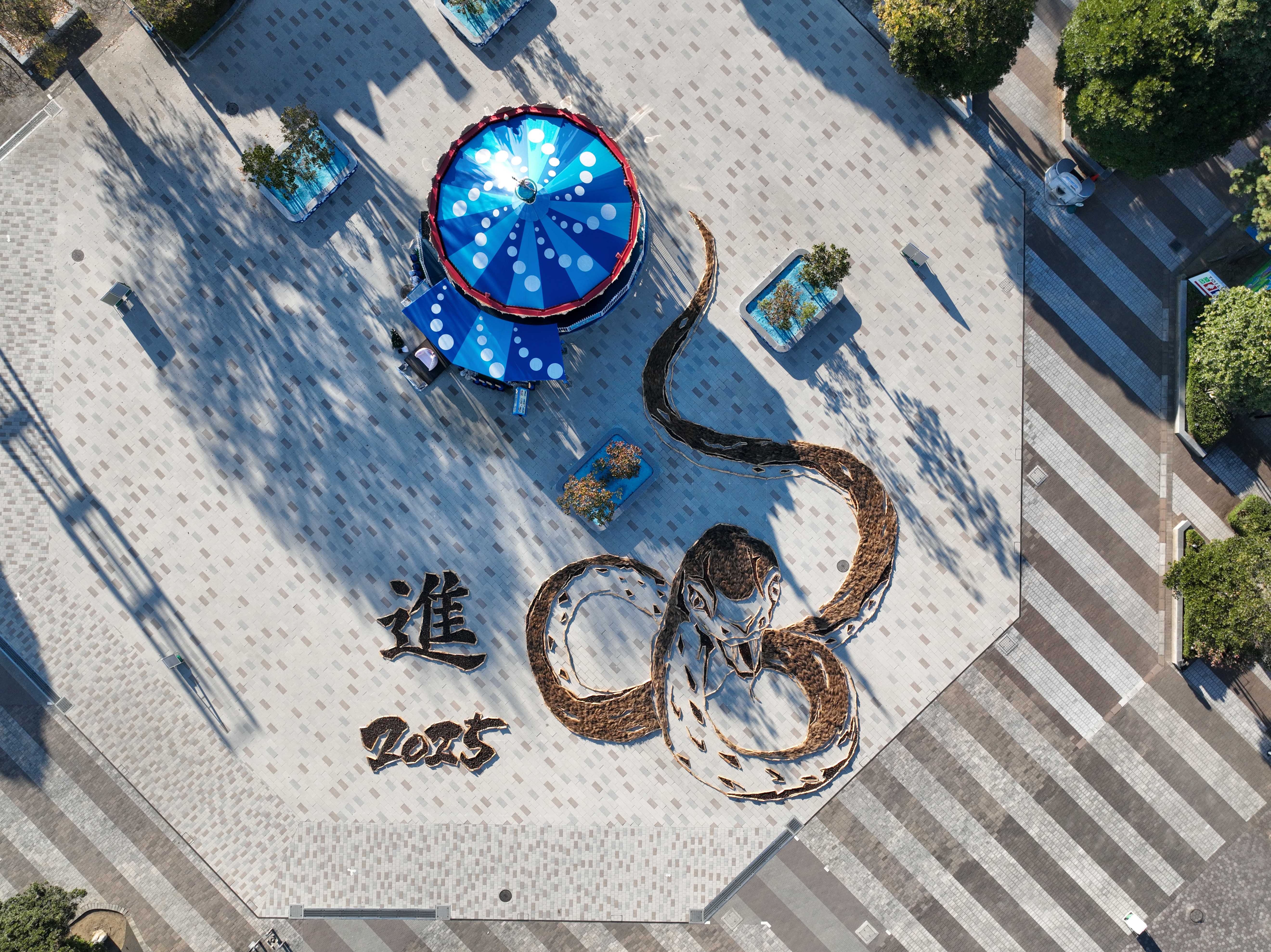 干支の巨大地上絵(ヘビ)