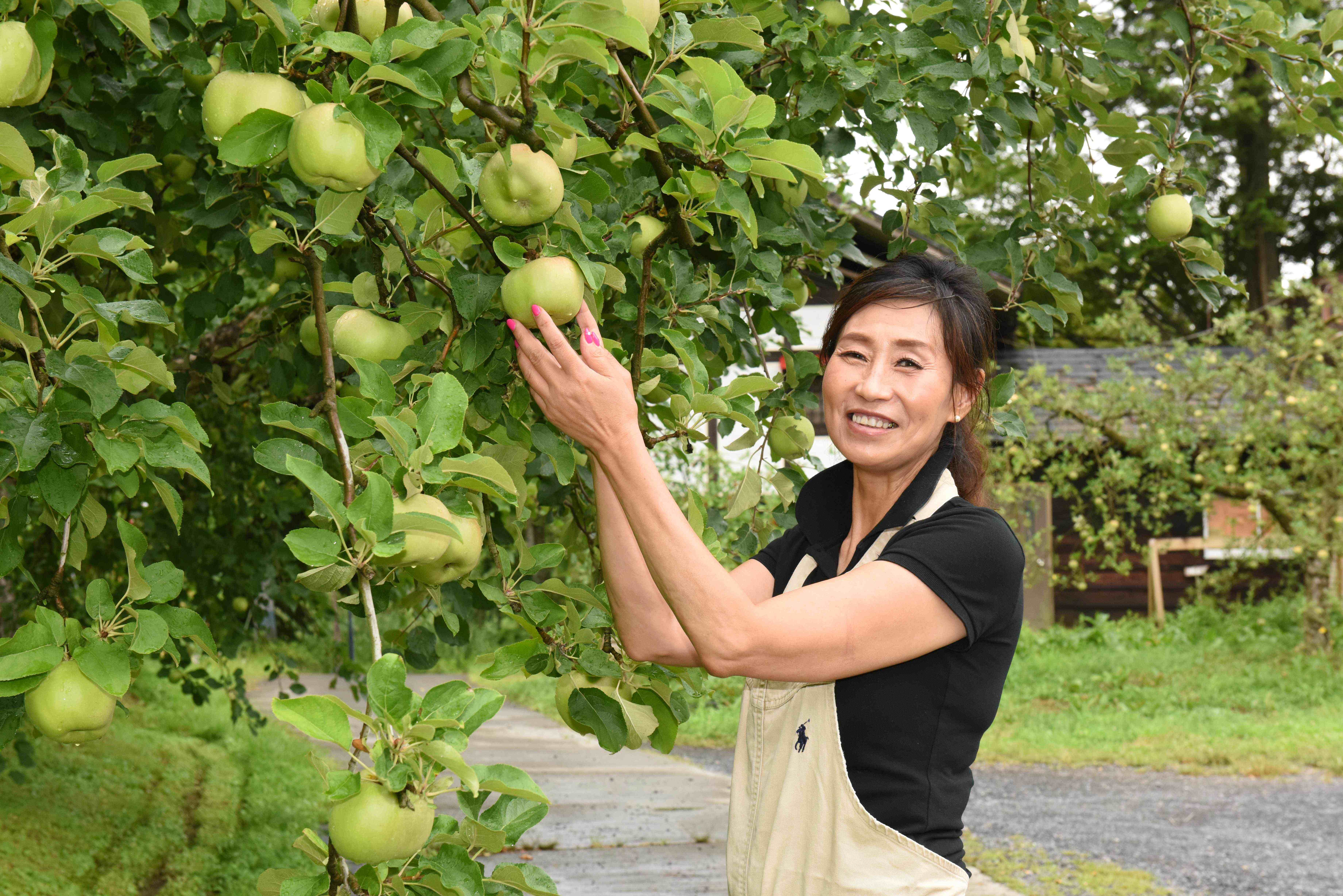 夏のりんご園で、藤田史子さん