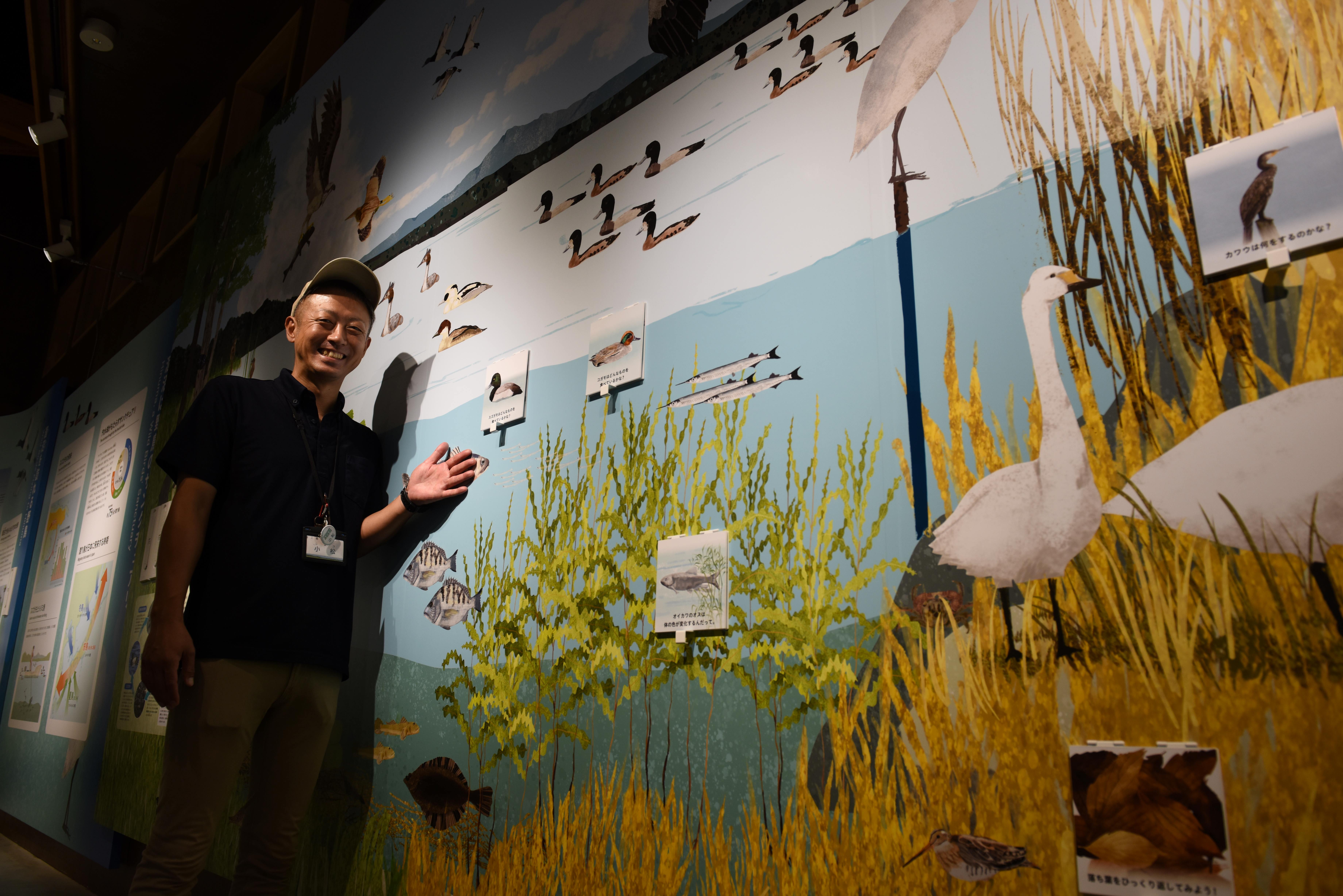 涸沼の生態系が学べる「涸沼水鳥・湿地センター」