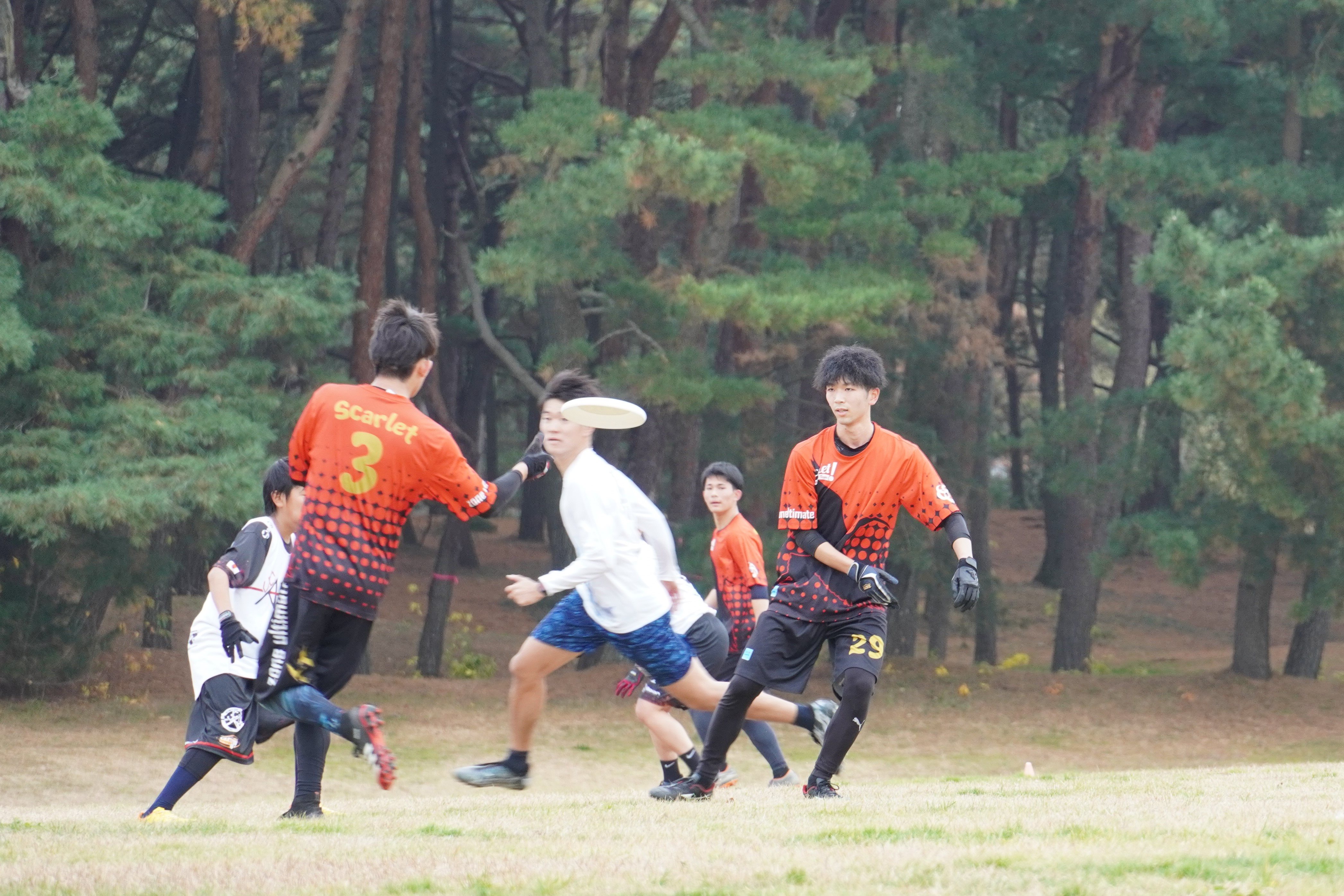 アルティメット