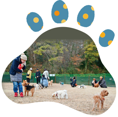 ドッグラン画像4