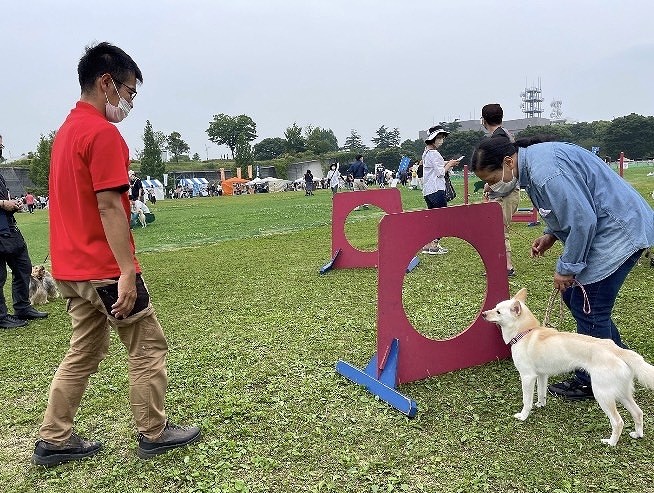 あおぞら乗馬体験