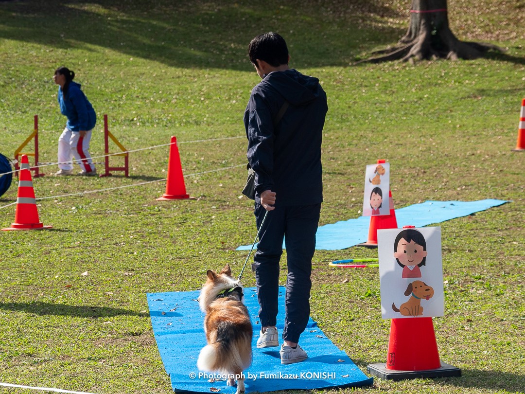 鉾田市健康づくり財団