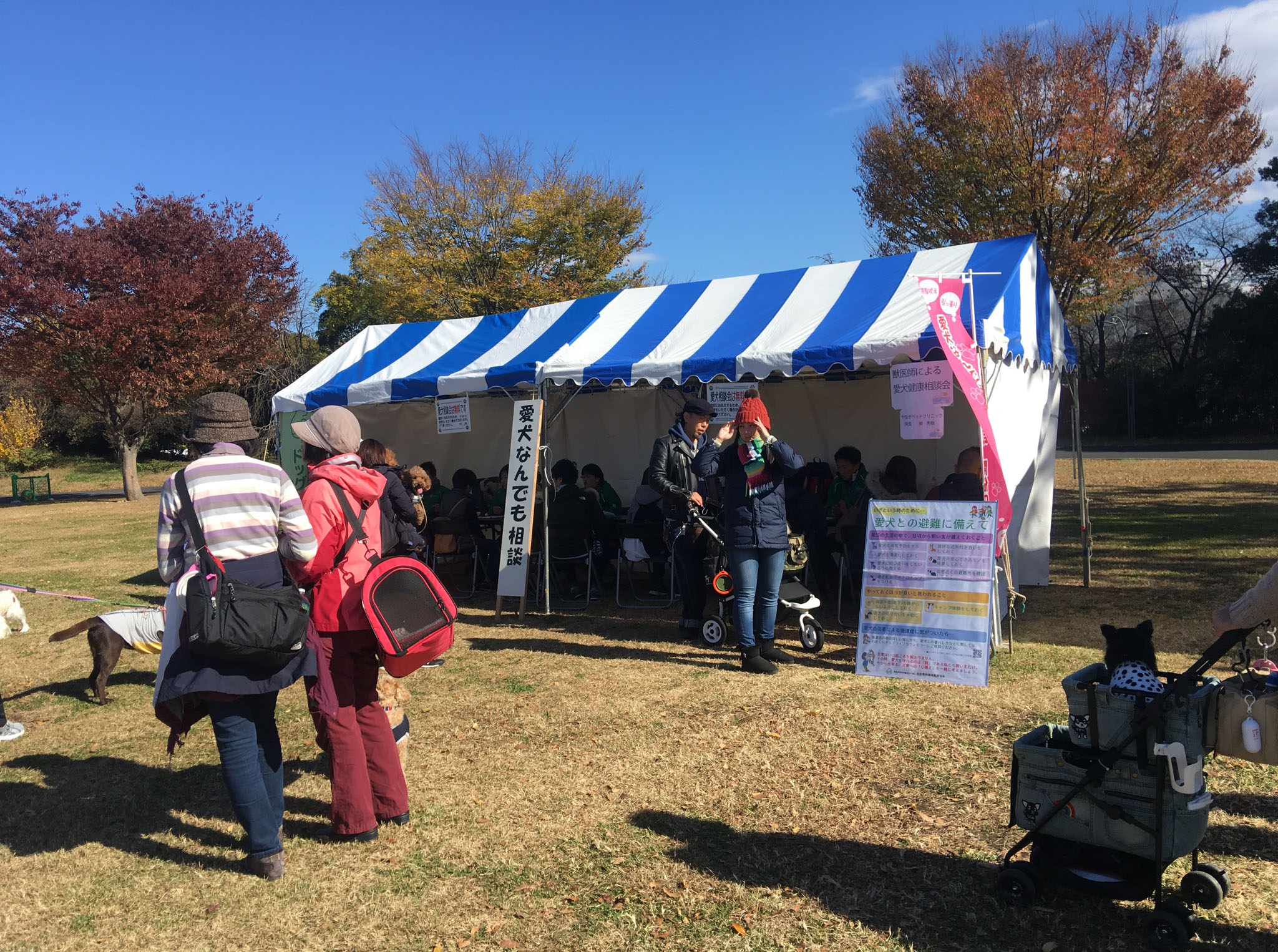 08愛犬なんでも相談会.jpg