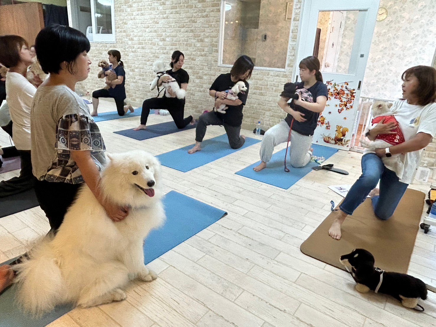 12DOGYOGA.jpg