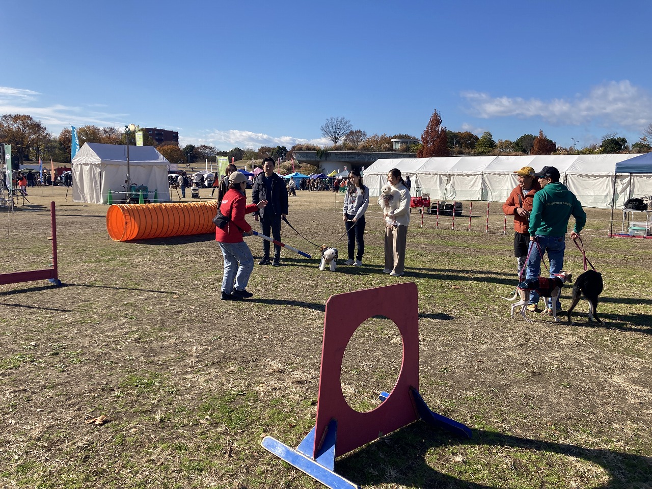 しっぽフェスタ2