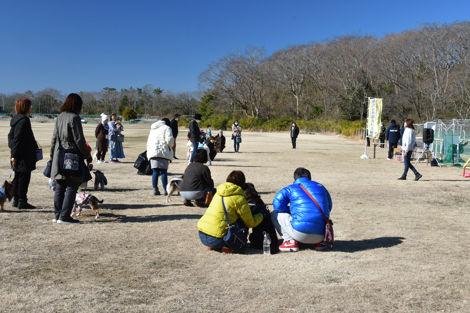 愛犬と暮らし方教室